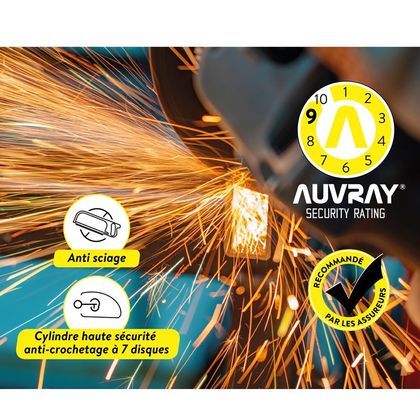 Antivol Auvray BLOQUE DISQUE DK 10 INOX SRA Universel