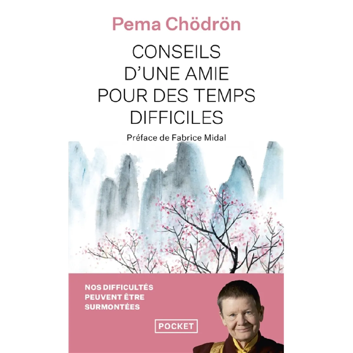 Conseils d'une amie pour des temps difficiles : quand tout s'effondre · Occasion