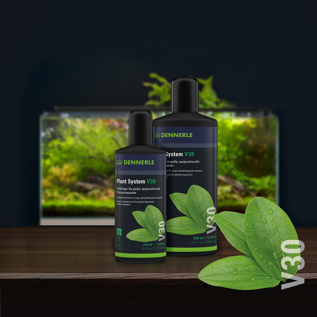 Dennerle Plant System V30 250ml | Plantenvoeding