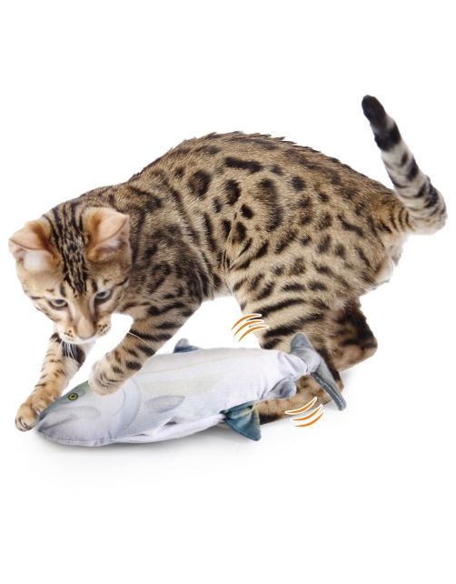 All For Paws Fish Sardine - Kattenspeelgoed - 28x12x5.5 cm Multi-Color