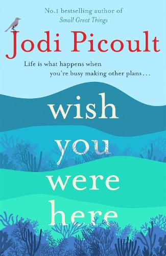 Wish You Were Here (Paperback)