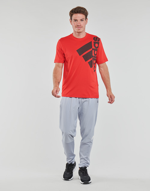 adidas Performance - TRAINING PANT - halo silver/grey six