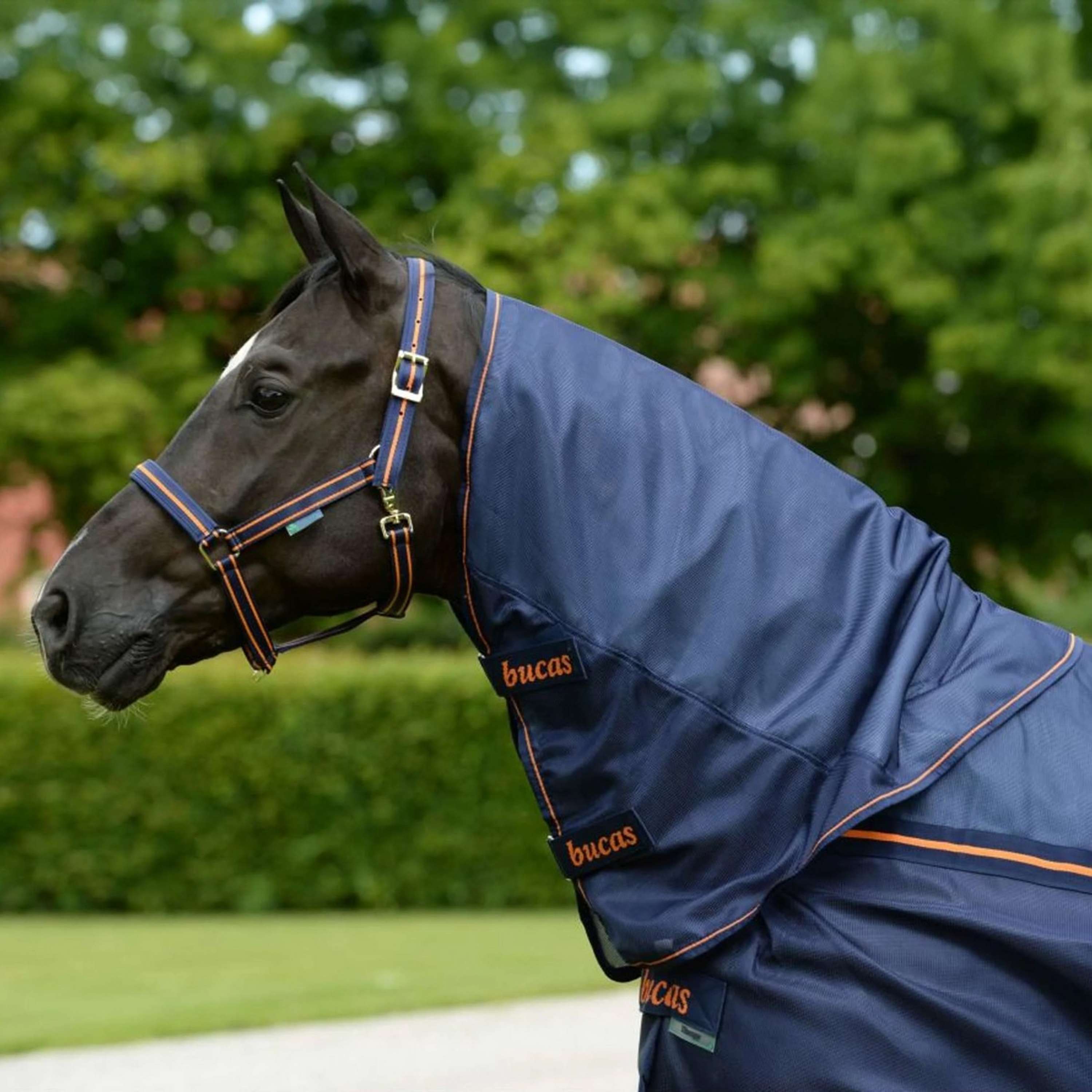 Bucas Therapy Light Neck Navy/Orange