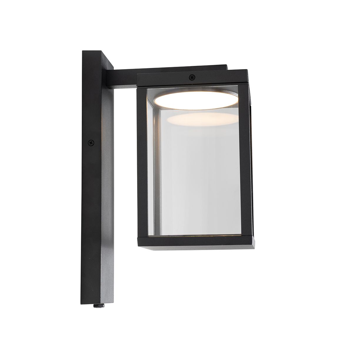 Buiten wandlantaarn zwart incl. LED en schemersensor - Ferdinand