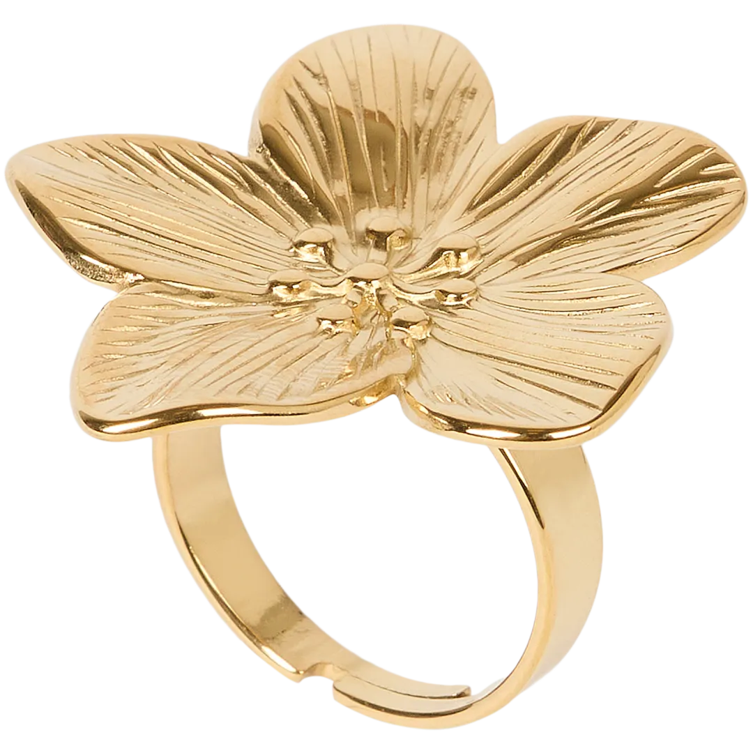 Bague