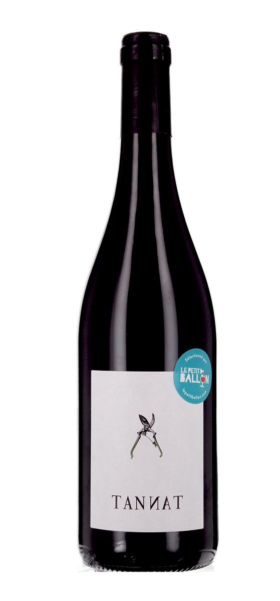Domaine Capmartin - Tannat 2021