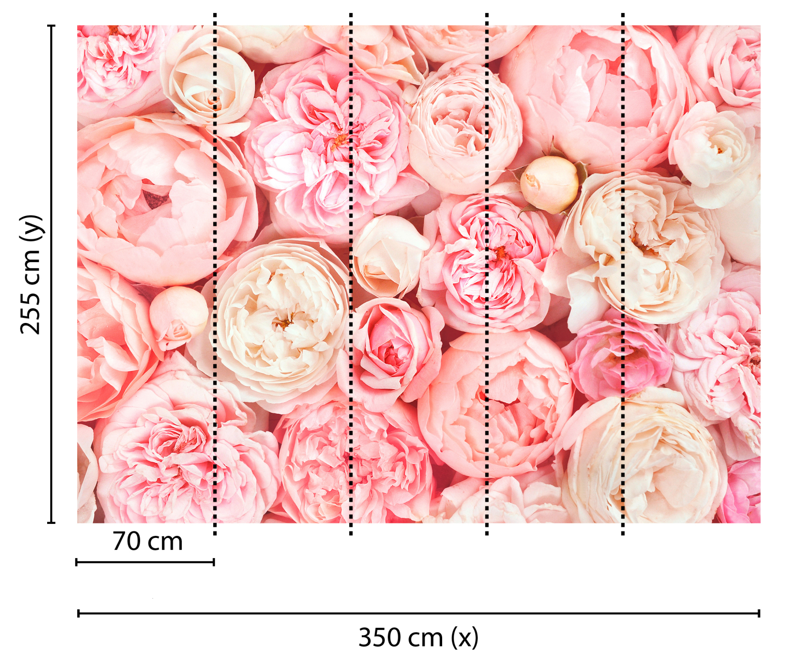 Fototapete DESIGNWALLS - rosa-weiß - Blumen - 2,55 Meter