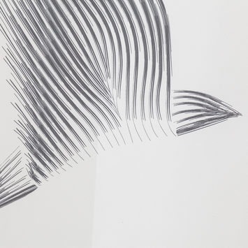 Sealskin douchegordijn birds 180x200cm zwart/wit