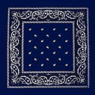 Paisley Bandana