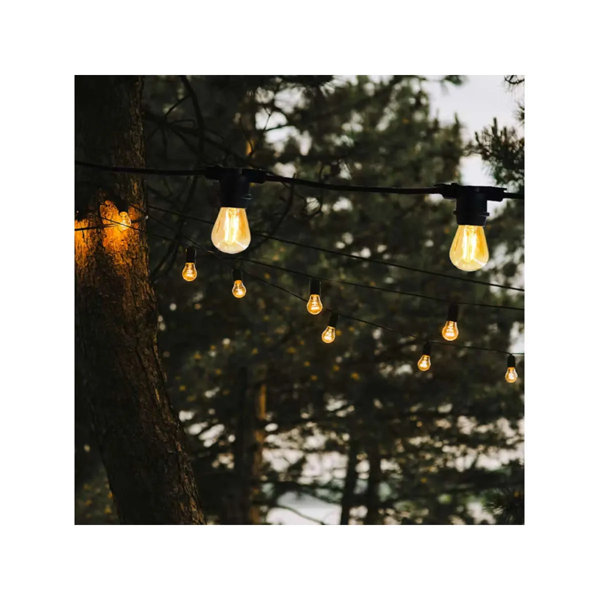 LUMISKY Guirlande extérieur LED