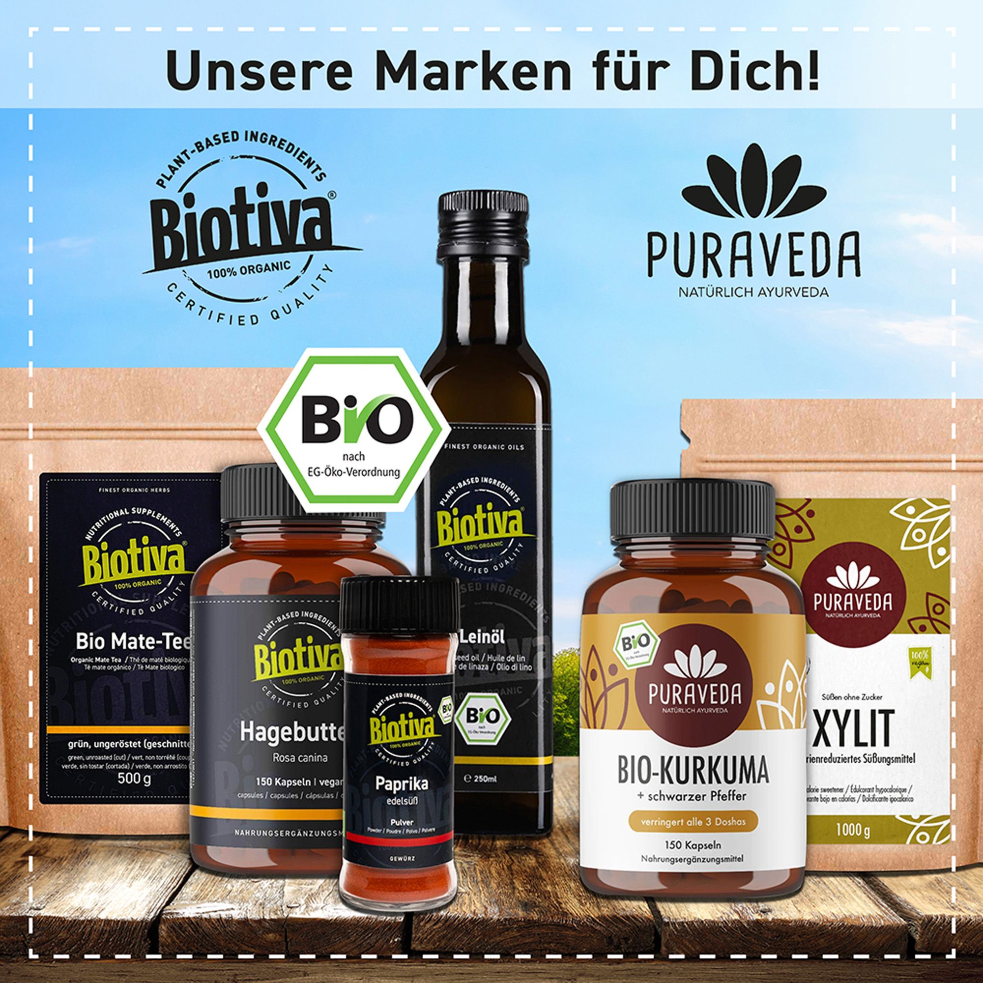 Biotiva Jasmin Grüntee Chun Hao Bio
