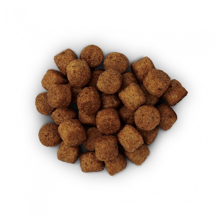 HILL'S Prescription Diet j/d Mobility au Poulet - Croquettes pour chien