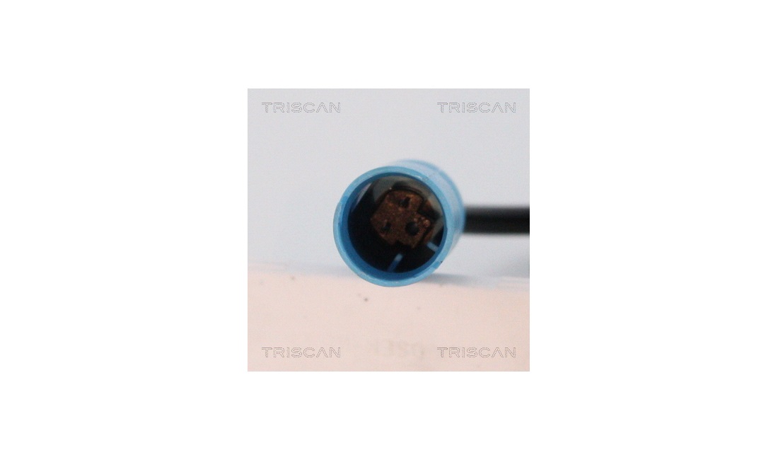 ABS sensor