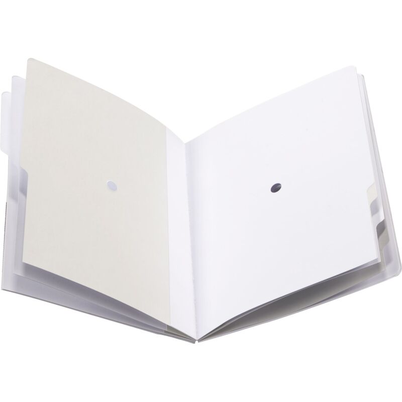 Pack 2 trieurs carte Extendos 12 divisions + 1 offert
