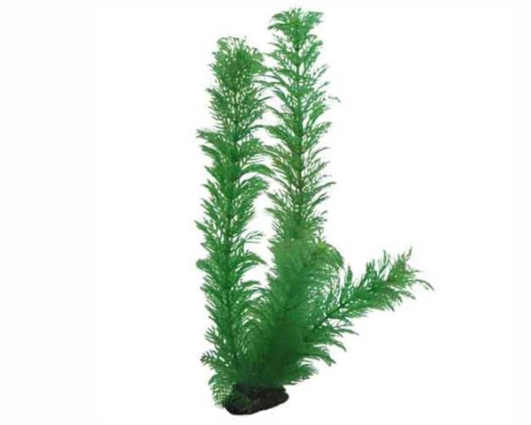 Hobby Plant Egeria 34cm