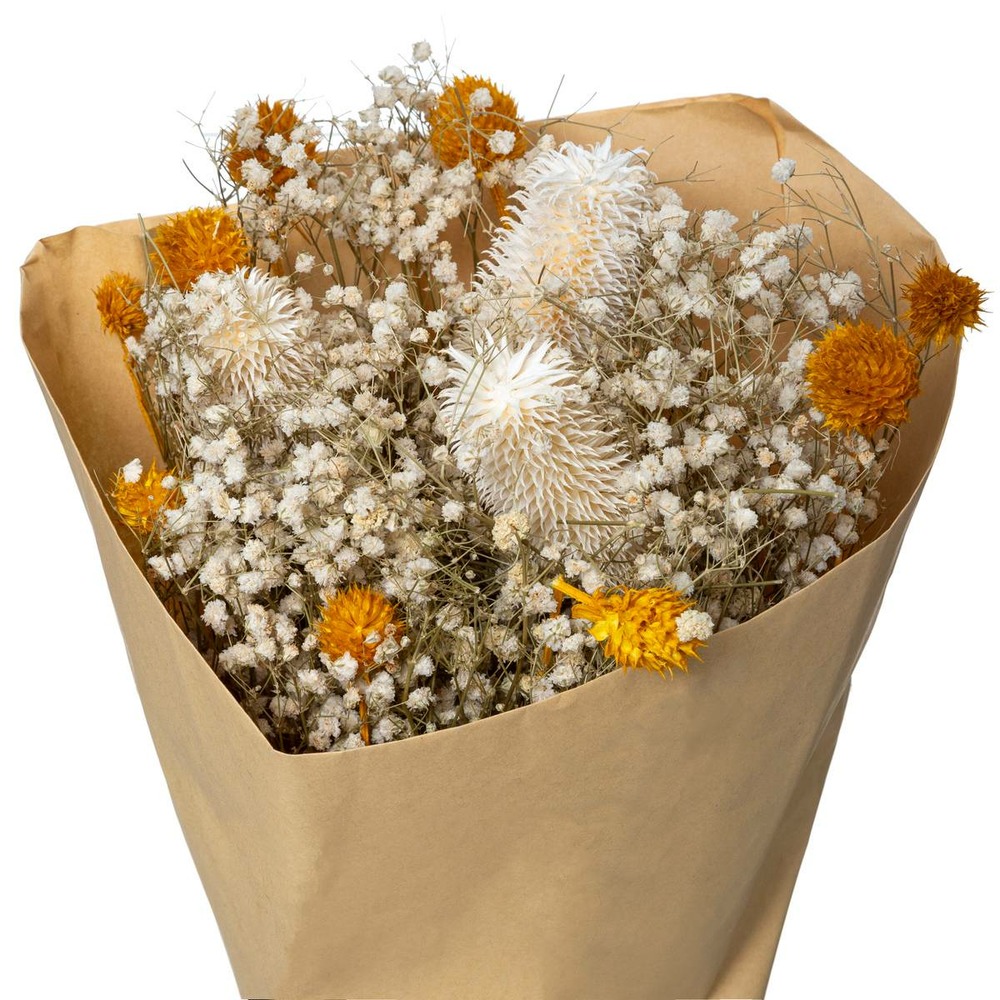 Bouquet de fleurs séchées d. 19 x h. 48 cm