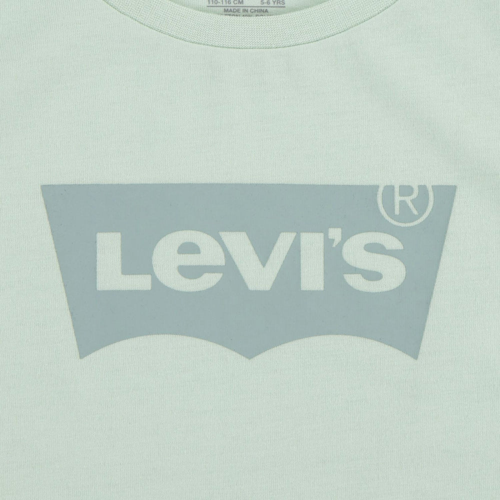 Køb Levi's Celadon Lvg Batwing Tee