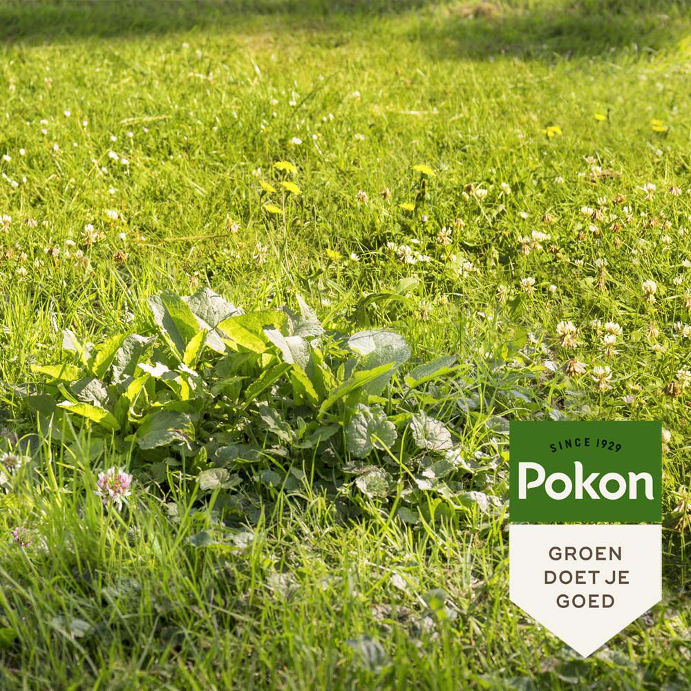 Pokon Onkruid Weg!  - Gazonmeststof - 250 m2 - 5000 Gram
