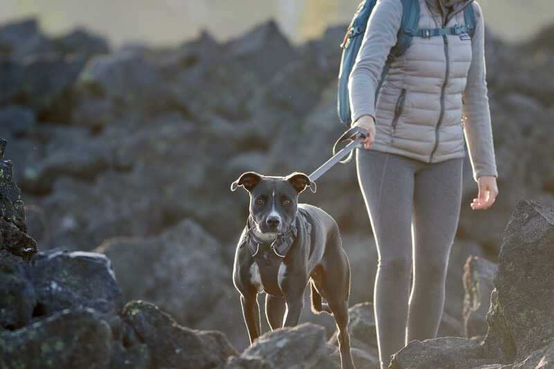Ruffwear Front Range Hundeleine Twilight Gray