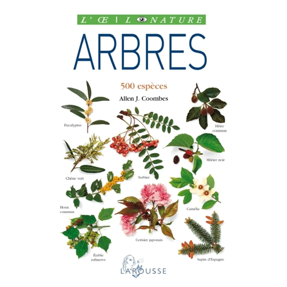 Arbres : 500 espèces · Occasion