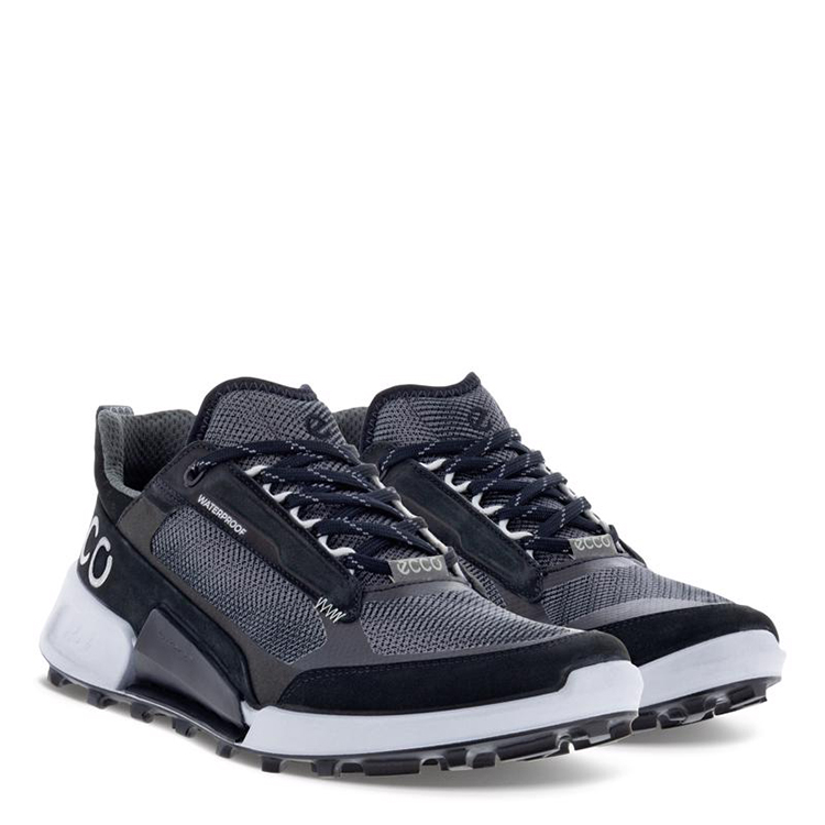 Ecco Biom 2.1 | NOIR (femme)