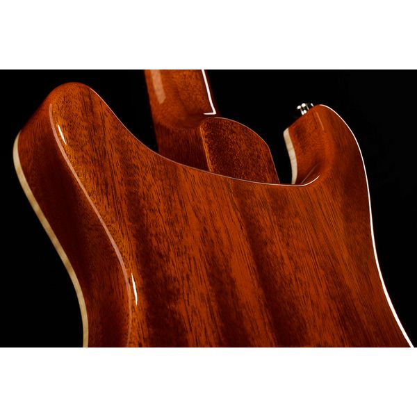 PRS DGT Birds MS