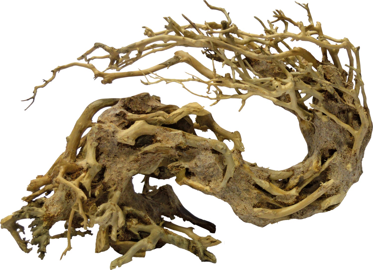 SuperFish aquarium decoratie bonsai wave M 24 x 12 x 16 cm
