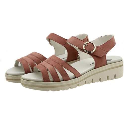 Piesanto - 180786 Rosa
