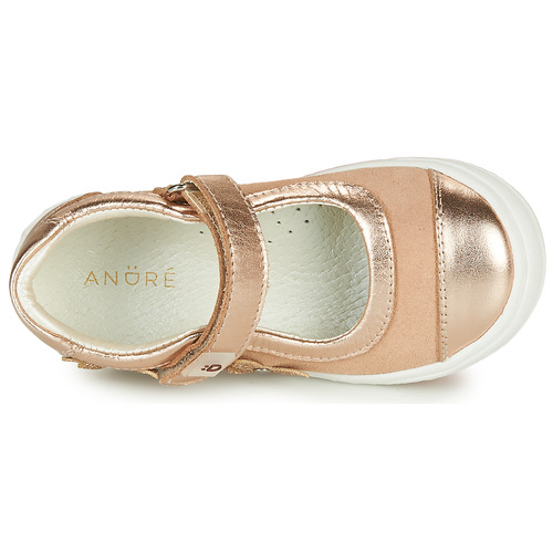 André - ORIANNE - Rose