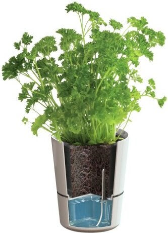 Mepal kruidenpot wit 27,3 x 13,7 x 22 cm