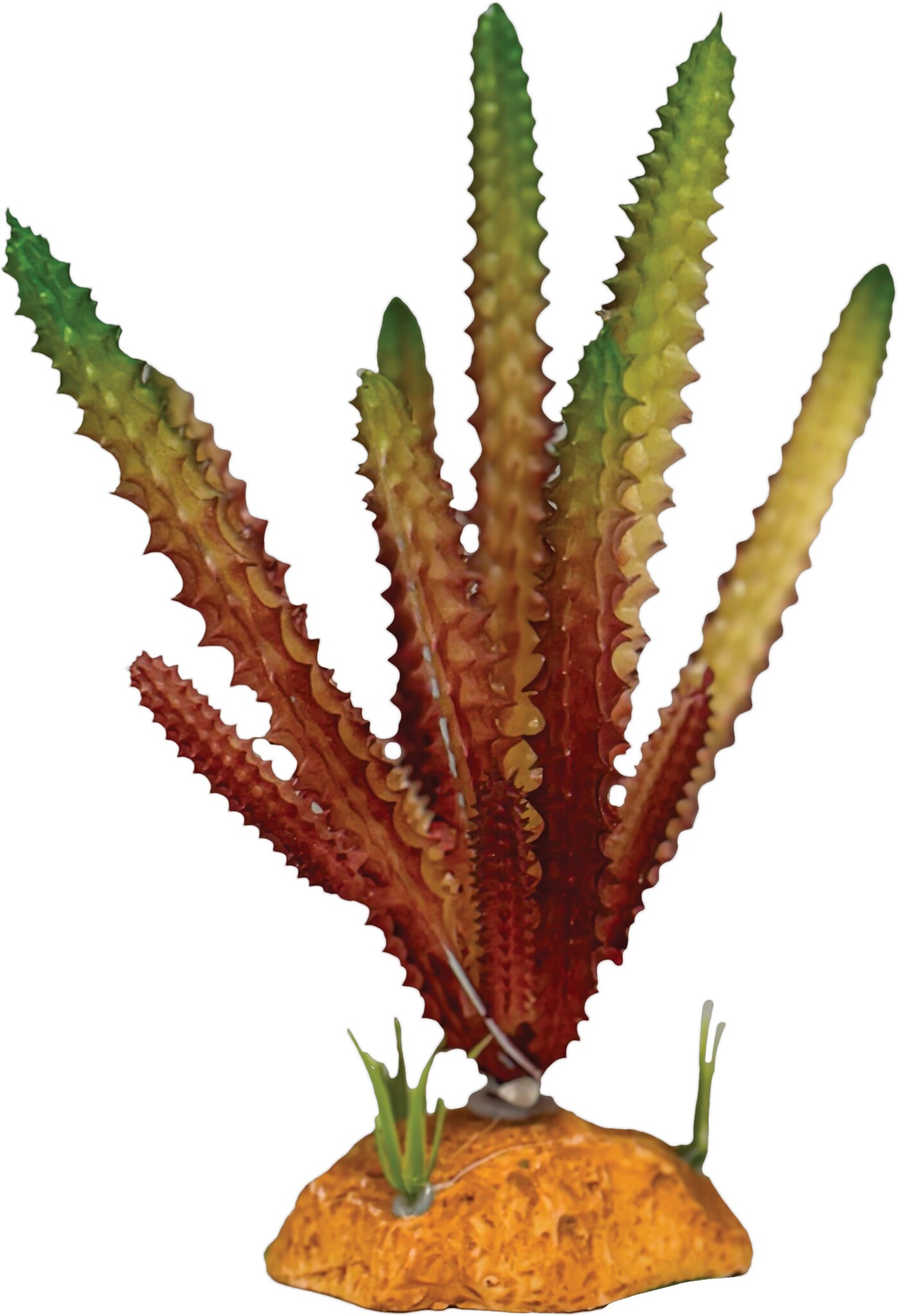 Repto Terrarium Kunstplant Cactus Needle Red
