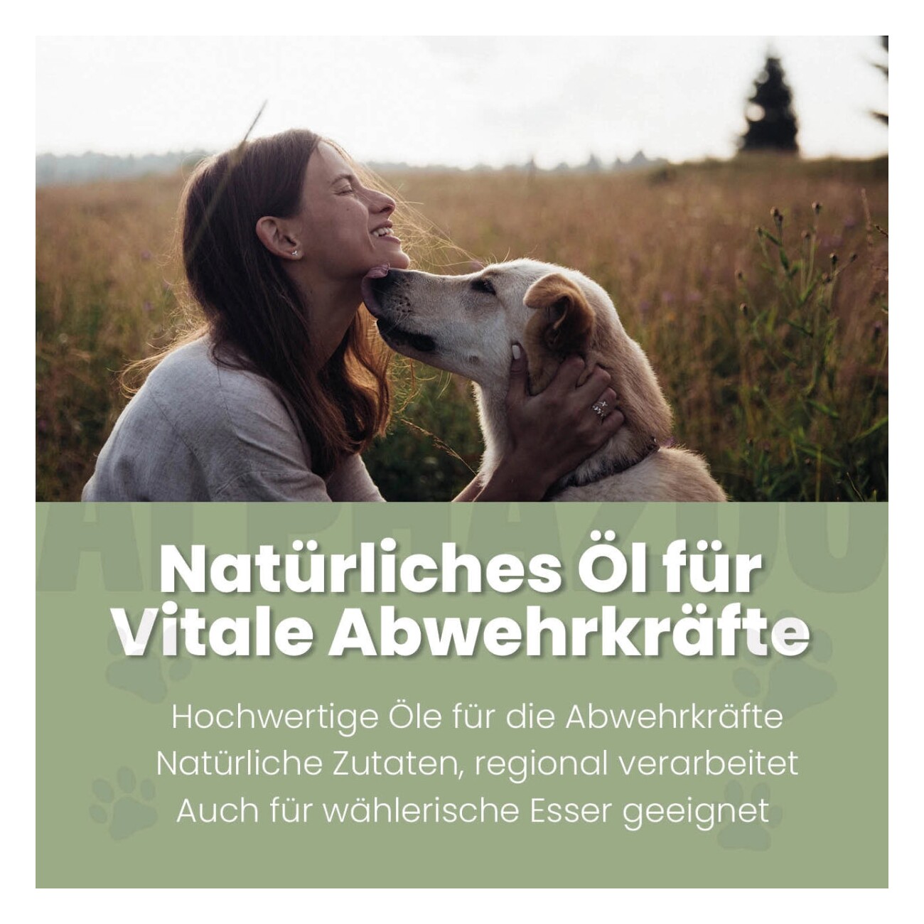ALPHAZOO Alpha-Immun Futteröl für Hunde und Katzen 250 ml
