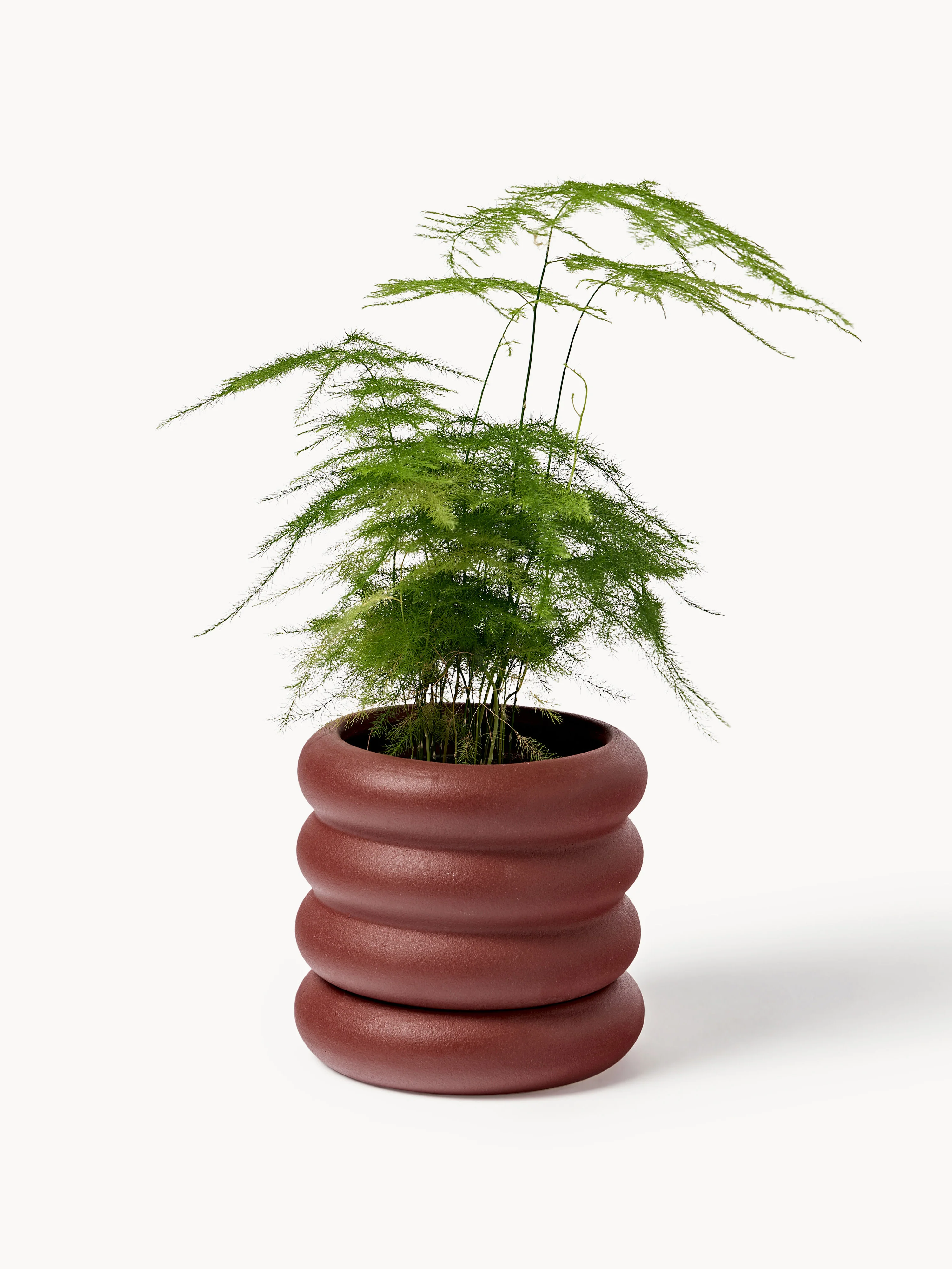 Bloempot Rudi met schotel, H 12 cm