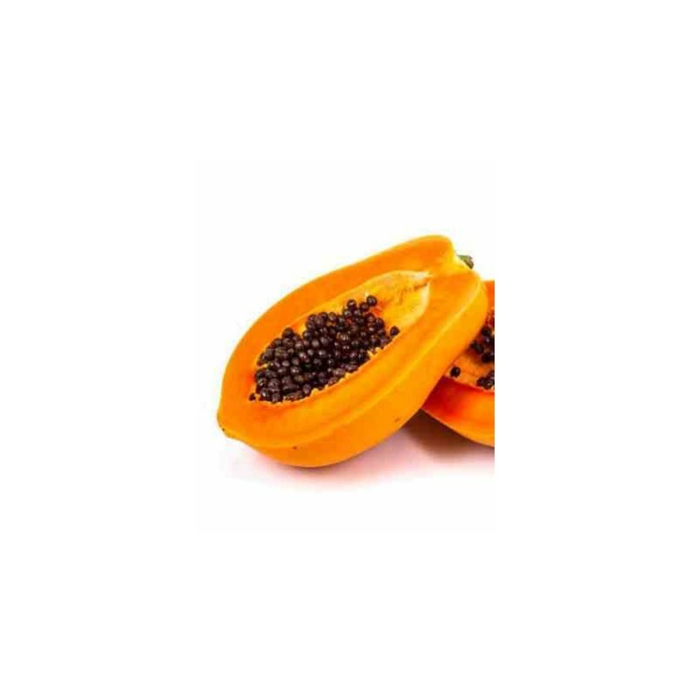 Papayer carica papaya solo rose - taille pot de 25l - 140/160cm