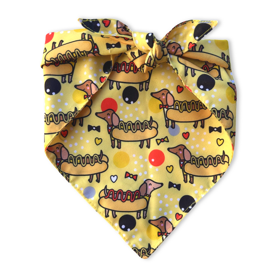 Bandana - Cachorros Salsicha
