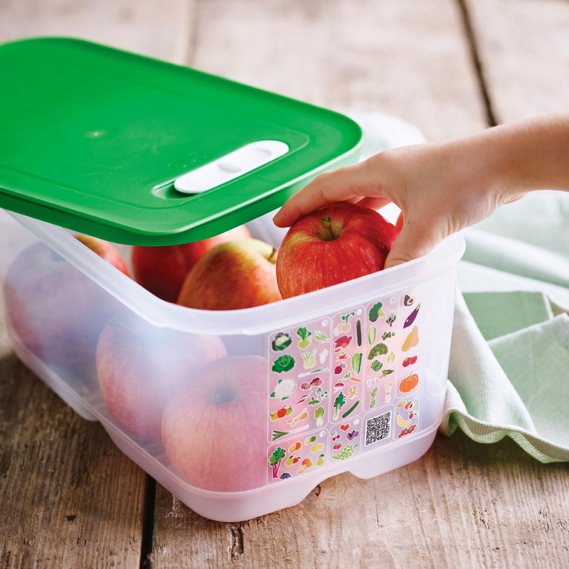 KlimaOasen-Set (5) Grundausstattung zum Frischhalten von Gemüse, Obst und Kräuter