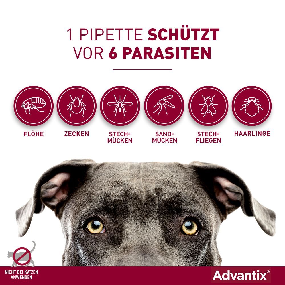 Advantix® Spot on für Hunde 4 - 10 kg