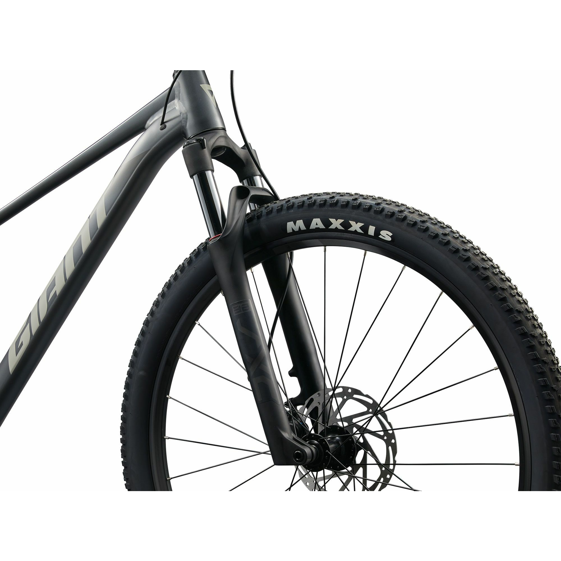Giant Talon 1 2026