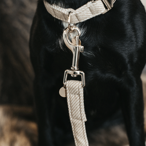 Kentucky Dogwear Hondenlijn Wool