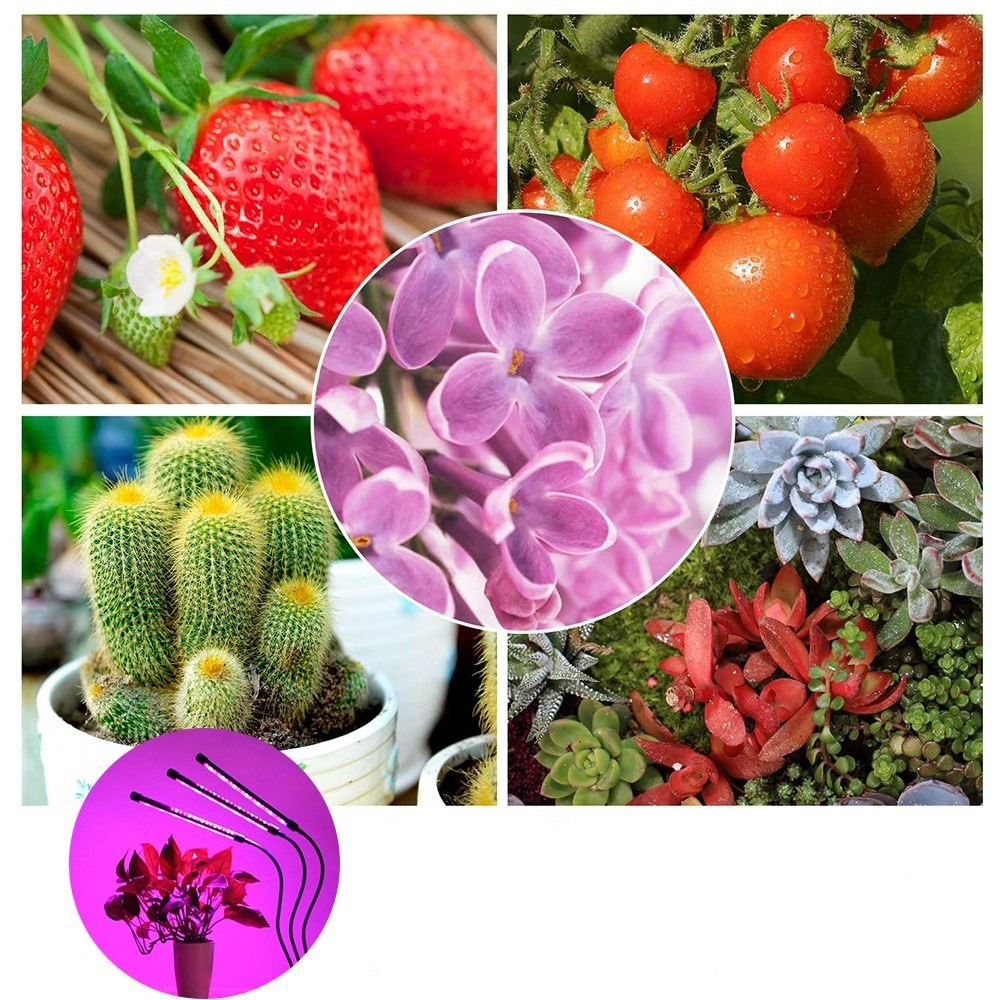 60-LED's USB Pflanzen Licht Full Spectrum Grow Light Wachstumslicht für Zimmerpflanzen Gewächshaus