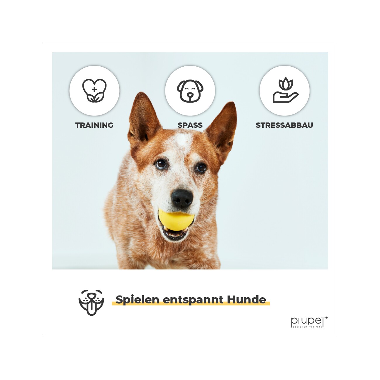 PIUPET Hundeball-Set