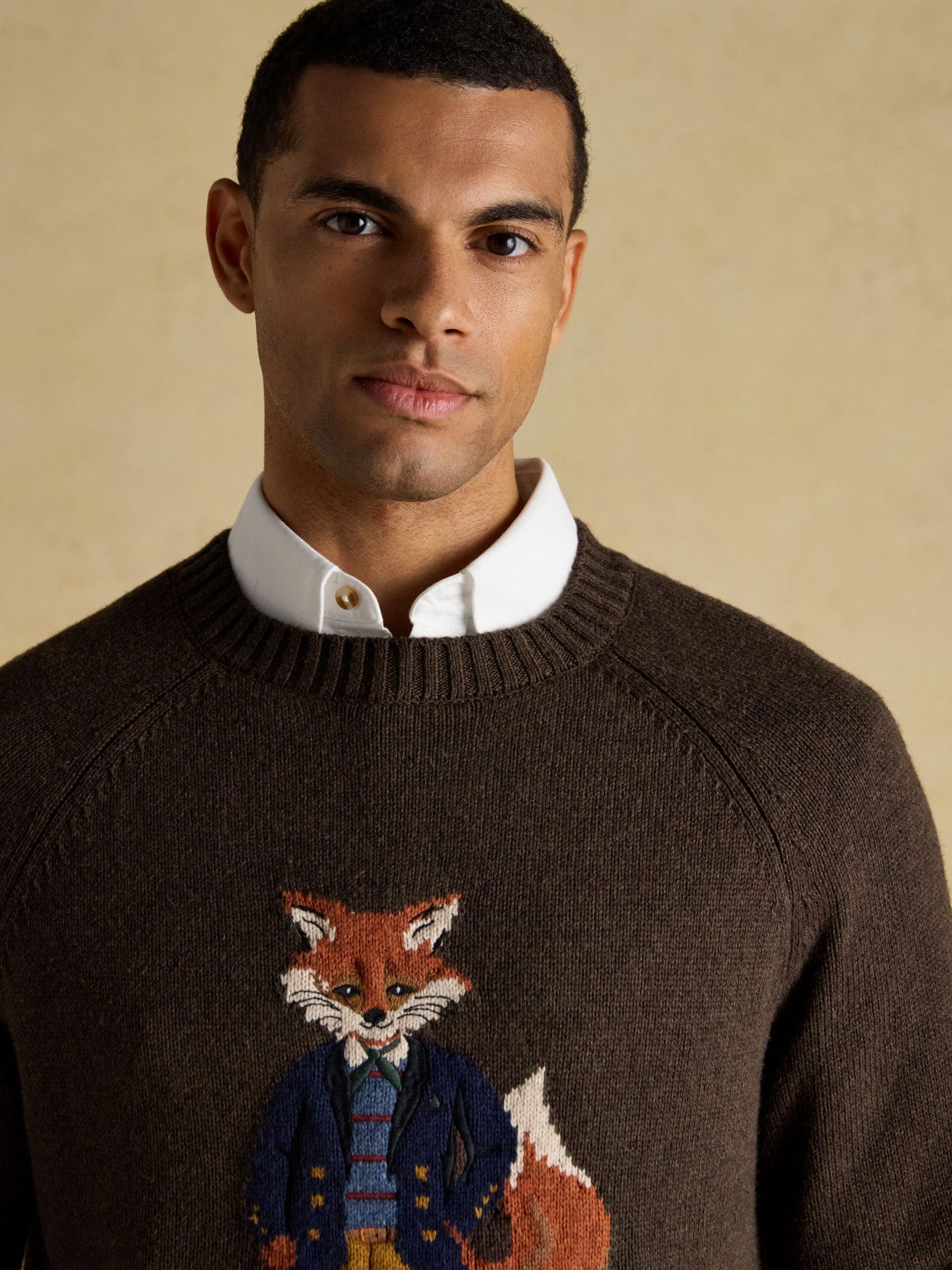 Bruin - Joules - Jonty - Intarsia-gebreide trui met ronde hals