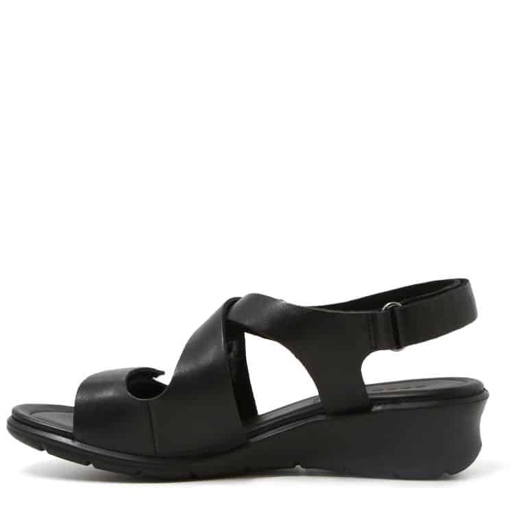 Ecco Felicia | NOIR