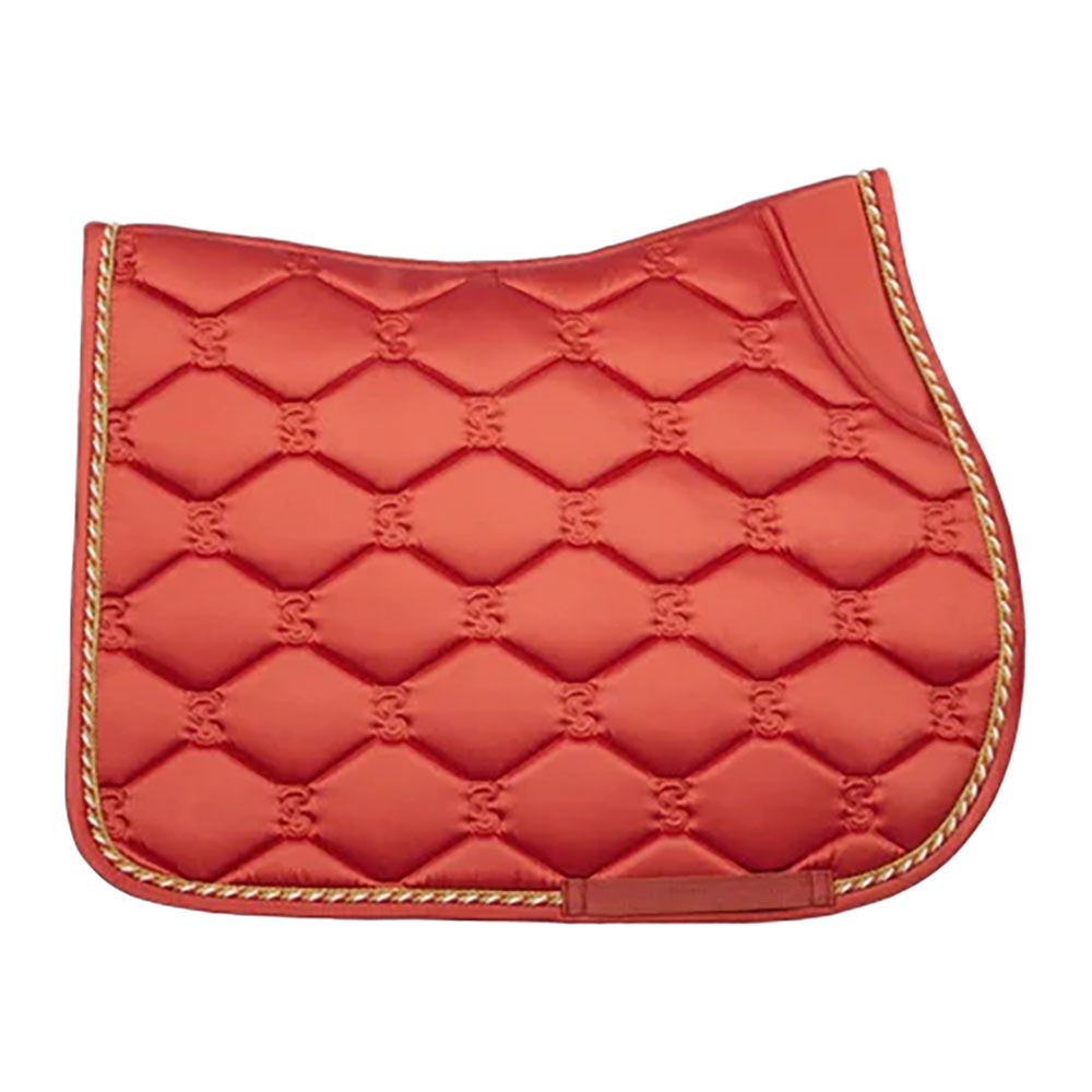 PS of Sweden JUMP SIGNATURE - Tapis d'obstacle burnt orange