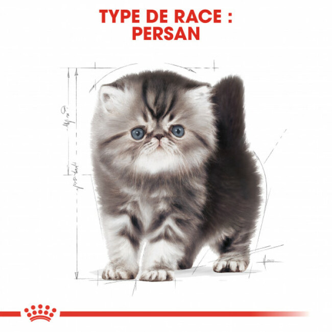 Croquettes pour chaton Royal Canin Persian Kitten