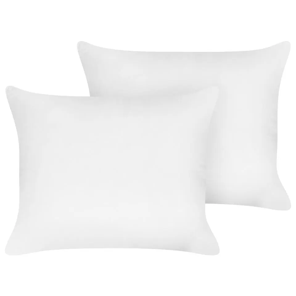 TRIGLAV - Hoofdkussen set van 2 - Wit - 50 x 60 cm - Laag - Polyester