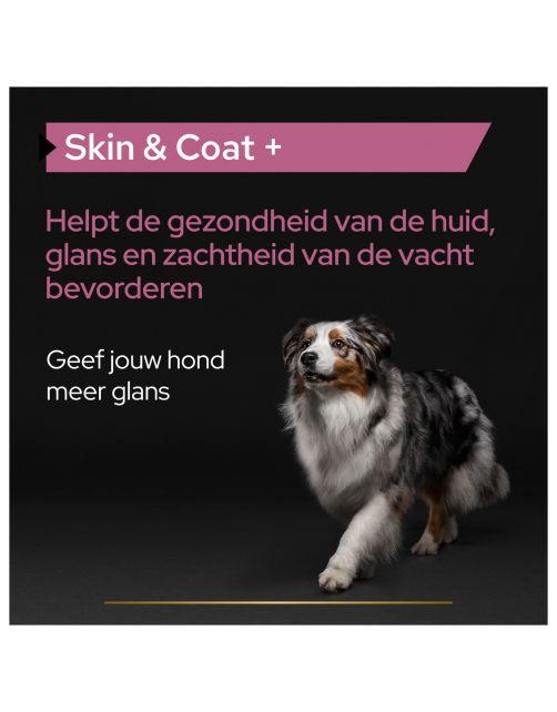 Pro Plan Hond Skin&Coat Supplement Olie - Voedingssupplement - 250 ml