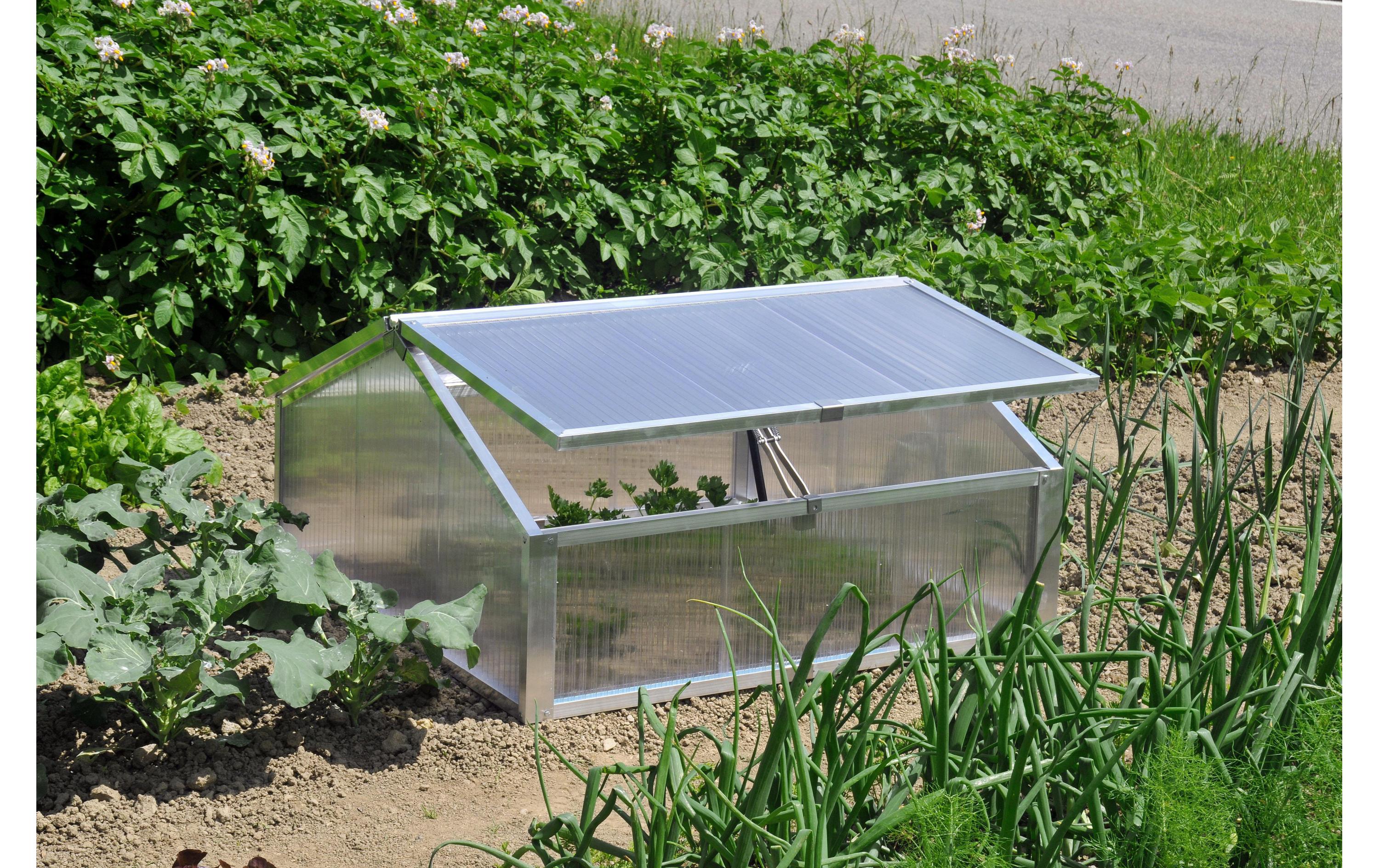 Frühbeetkasten 103 x 103 x 34/56 cm<br>First-Frühbeetkasten