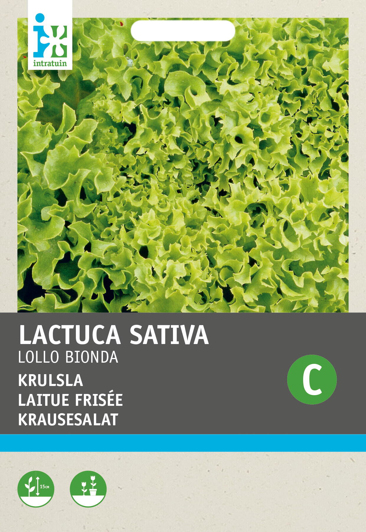 Intratuin groentezaad (Lactuca sativa 'Lollo Bionda')