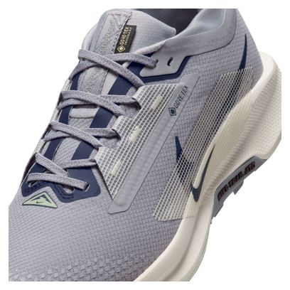 Chaussures Trail Nike Pegasus Trail 5 GTX Gris Homme